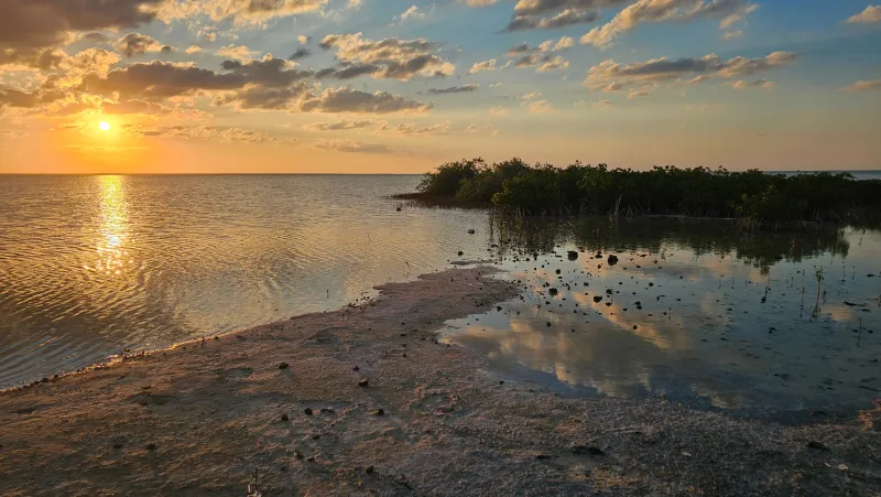 Observación de aves y senderos en selva baja yucateca: 20260225 183009