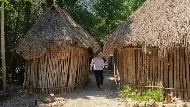 Rancho familiar, milpa y vida comunitaria en Temozón: 20260703 144125~2