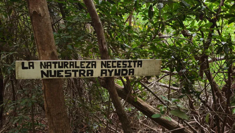 Observación de aves y senderos en selva baja yucateca: 20260822 173930