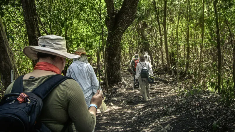 Observación de aves y senderos en selva baja yucateca:  MG 5000~2
