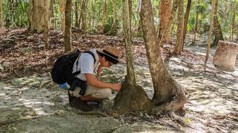 Observación de aves y senderos en selva baja yucateca: r18 java v1srp 20260703 140403 lmc 8.4