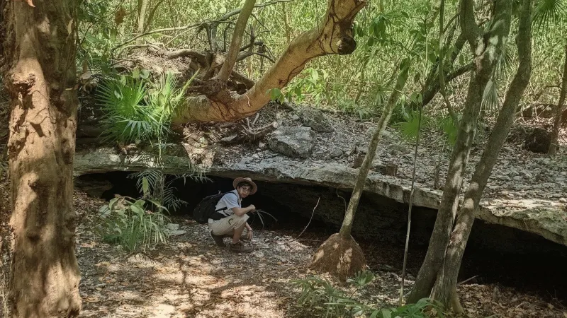 Observación de aves y senderos en selva baja yucateca: r18 java v1srp 20260703 151655 lmc 8.4~2